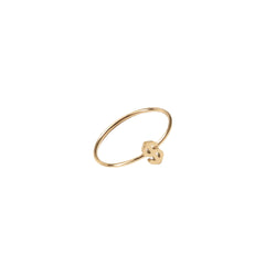 Dollar Symbol Ring | Titanium Steel Electroplated Money Ring