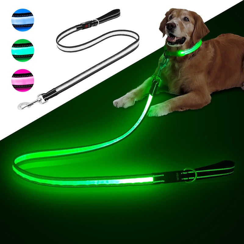 PZRLit Light Up Dog Leash Multi-Color 7 Lighting Modes Reflective LED Dog Leash 4FT Rechargeable Lighted Glow Dark Leash for Night Walking Blue Green Pink