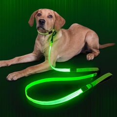 LED Light Up Dog Leash | Rechargeable Reflective Nylon 6 Ft