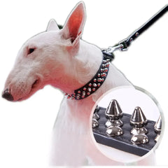Spiked Dog Collar | Studded Leather Adjustable Collar