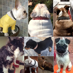 Spiked Dog Collar | Studded Leather Adjustable Collar