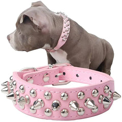 Spiked Dog Collar | Studded Leather Adjustable Collar