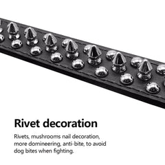 Spiked Dog Collar | Studded Leather Adjustable Collar