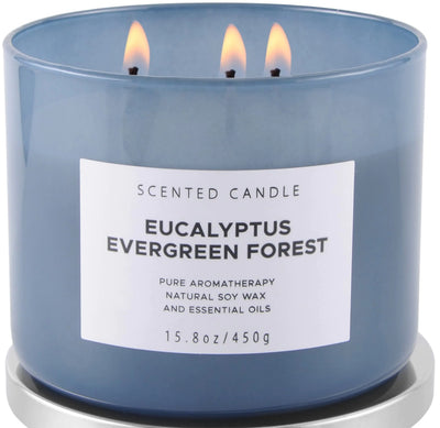 Eucalyptus & Pine 3-Wick Luxury Soy Candle — 15.8oz Balsam Fir Aromatherapy | 80-Hour Burn
