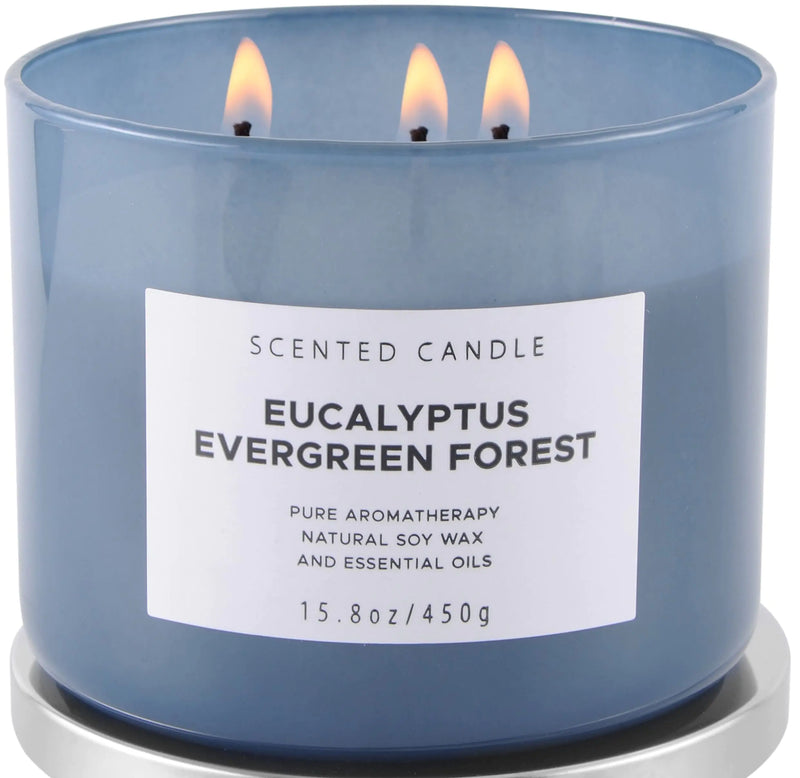 Eucalyptus & Pine 3-Wick Luxury Soy Candle — 15.8oz Balsam Fir Aromatherapy | 80-Hour Burn