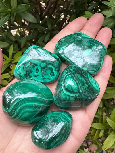 Natural Malachite Tumbled Stones – Polished Crystals & Palm Stones, 0.5 lb
