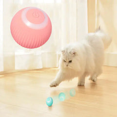 Automatic Rolling Ball | Interactive Smart Cat Toy