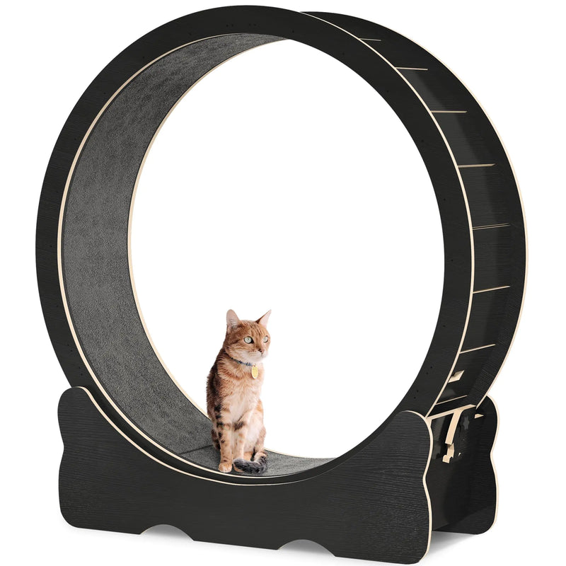 Large Cat Exercise Wheel | 43.3