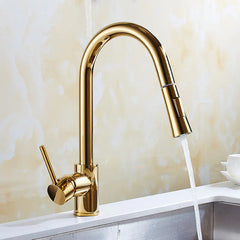 "Haimeisi Gold Pull-Out Kitchen Faucet 8055D"